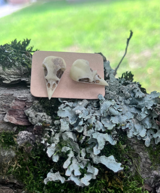Resin Crow Skull Stud Earrings | Gothic Nature-Inspired Earrings