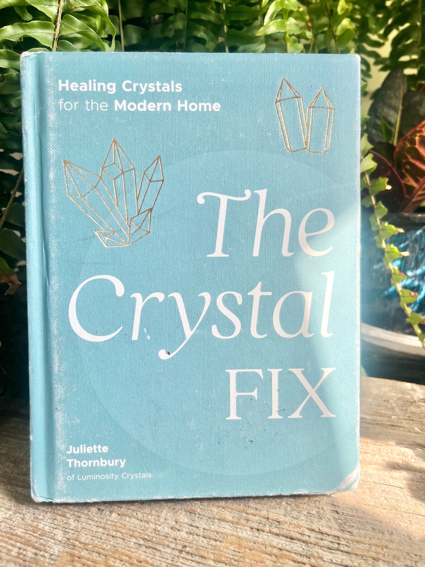 The Crystal Fix Bundle | Mica Schist Wire Wrapped Necklace + Crystal Book