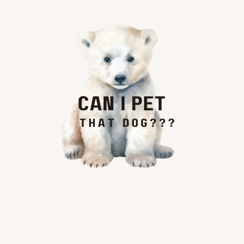 “Can I Pet That Dog???” Bear Vinyl Sticker – Cute & Funny Animal Lover Gift