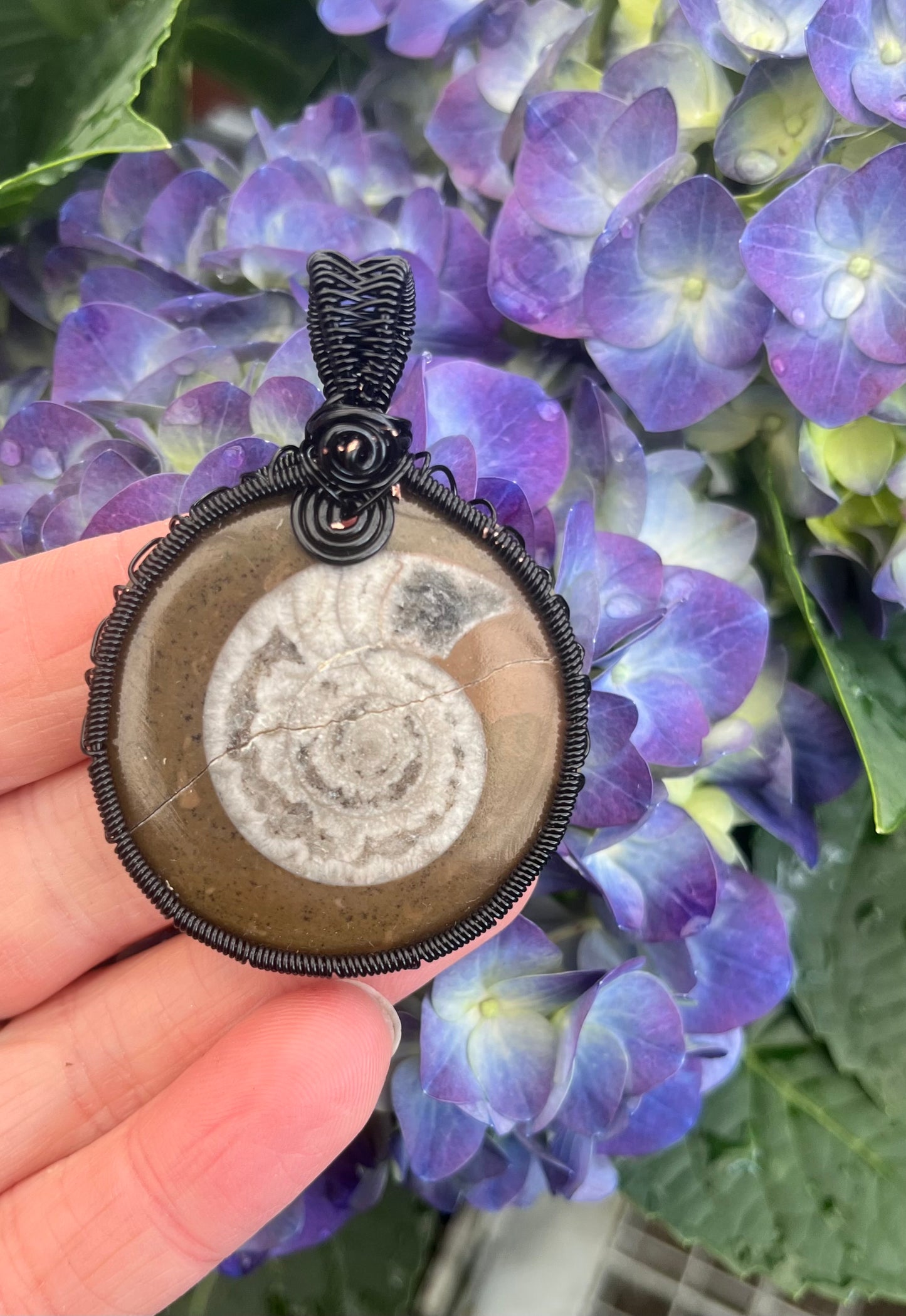 Ammonite Fossil Pendant – Black Wire Wrapped – Ancient Spiral Fossil Jewelry – Grounding Earth Energy Necklace