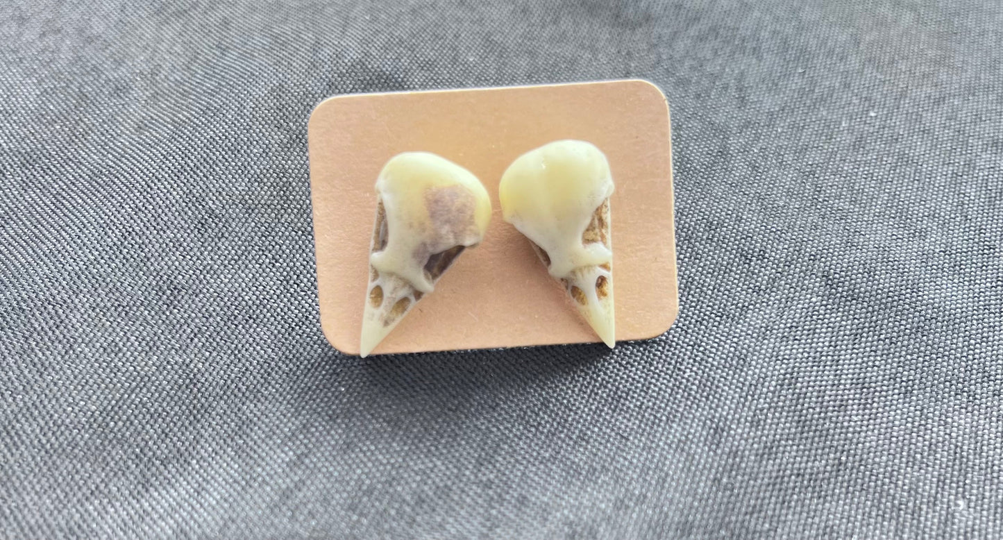 Resin Crow Skull Stud Earrings | Gothic Nature-Inspired Earrings