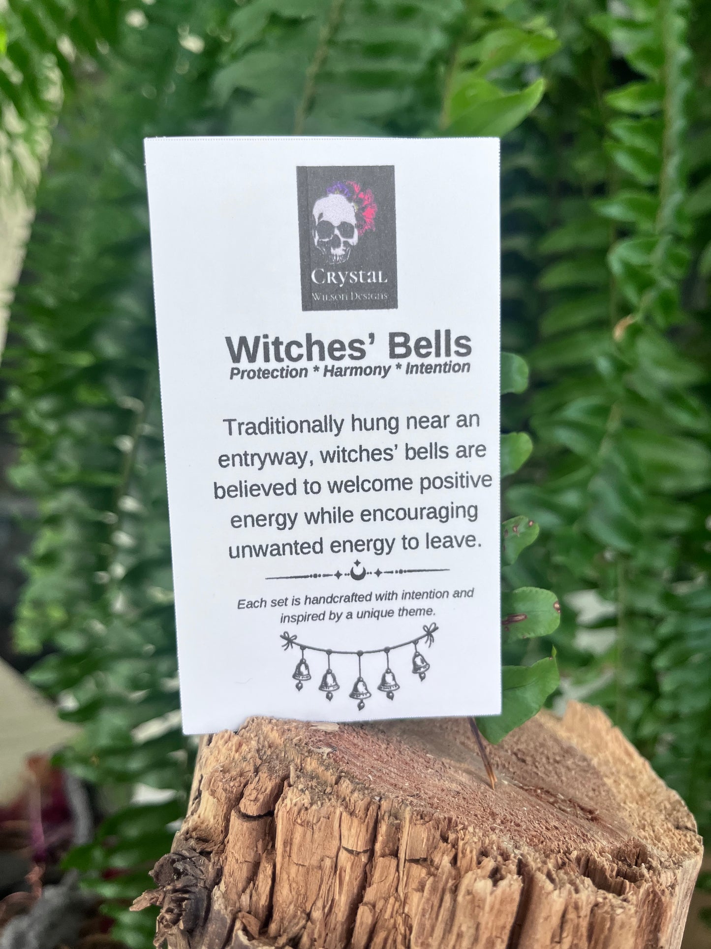 Lake Dragonfly Witches Bells – Reflection • Flow • Tranquility