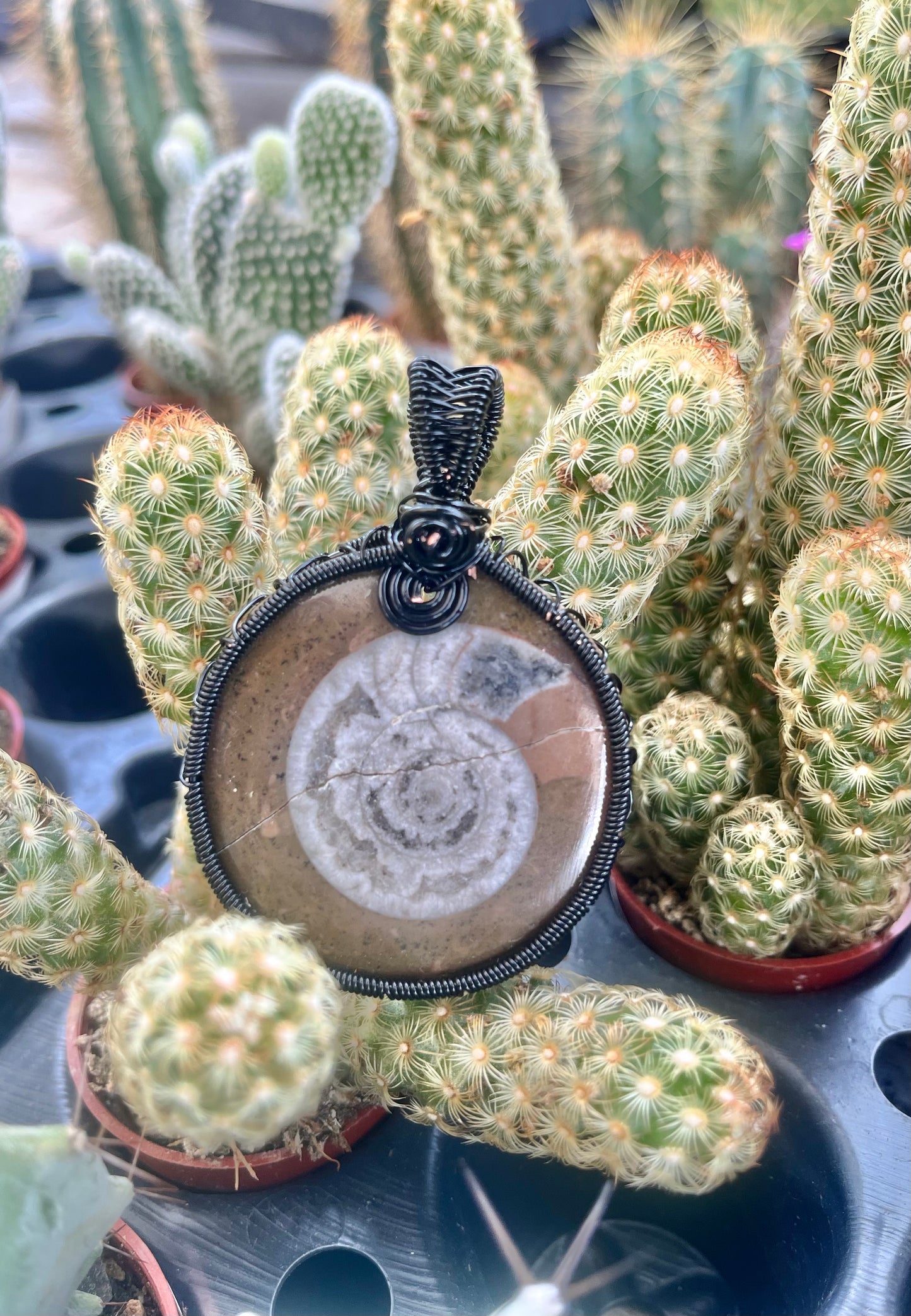 Ammonite Fossil Pendant – Black Wire Wrapped – Ancient Spiral Fossil Jewelry – Grounding Earth Energy Necklace