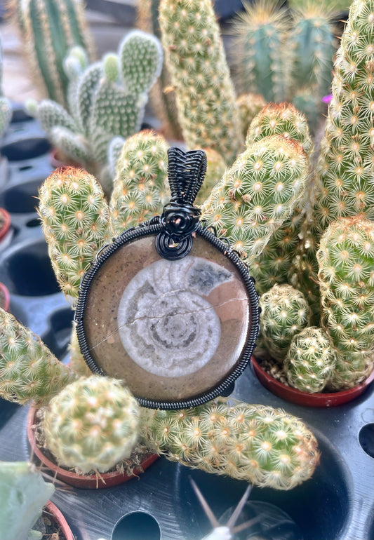 Ammonite Fossil Pendant – Black Wire Wrapped – Ancient Spiral Fossil Jewelry – Grounding Earth Energy Necklace