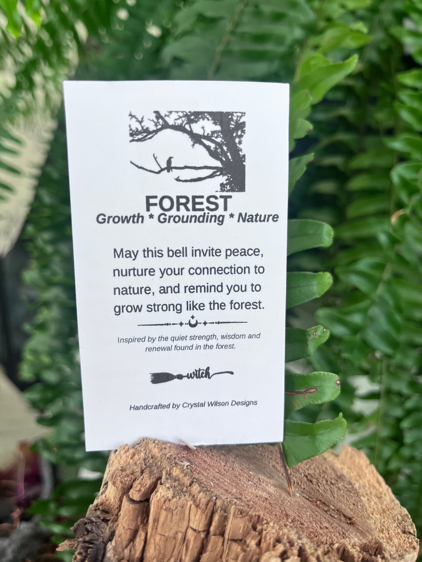Forest Witch Bells – Woodland Protection Charm | Handmade Nature-Inspired Door Decor