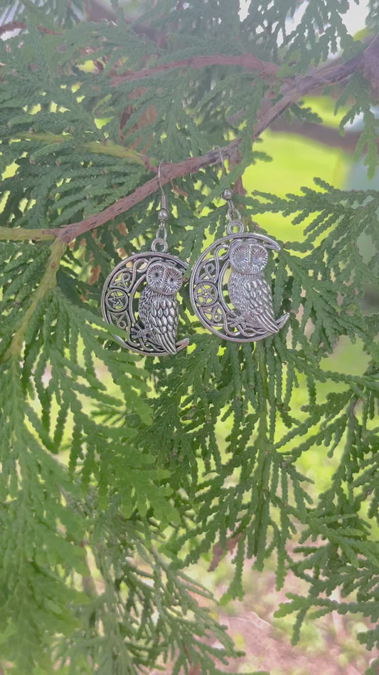 Owl on Crescent Moon Earrings on silver stainless steel hooks