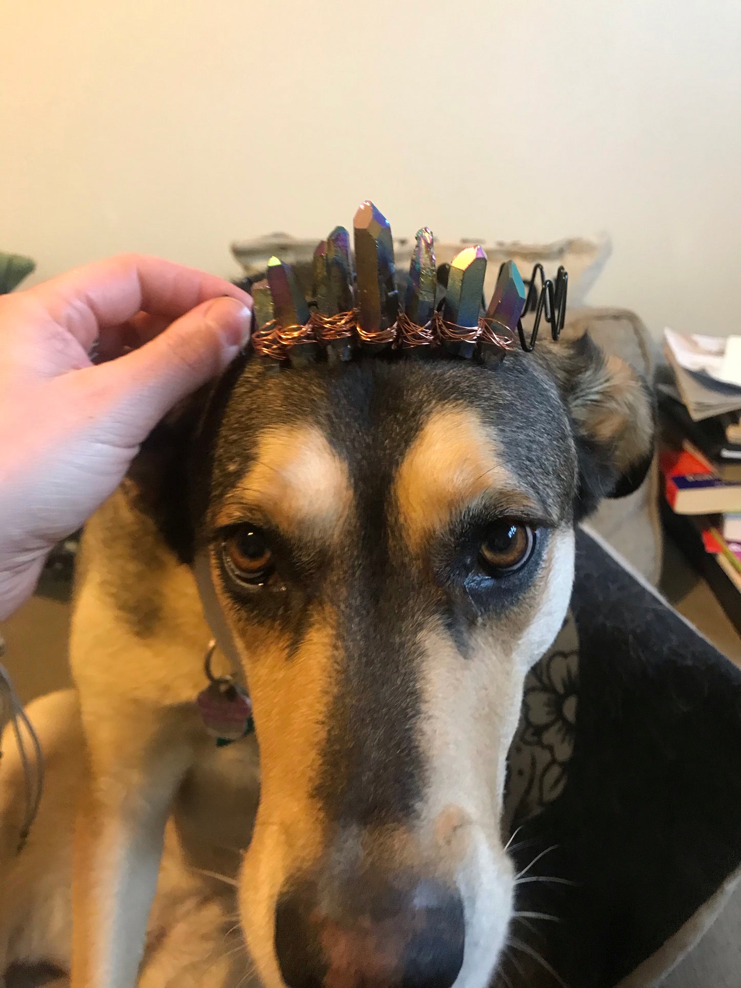 Custom Crown